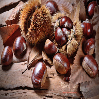 CASTAGNE/DERIVATI