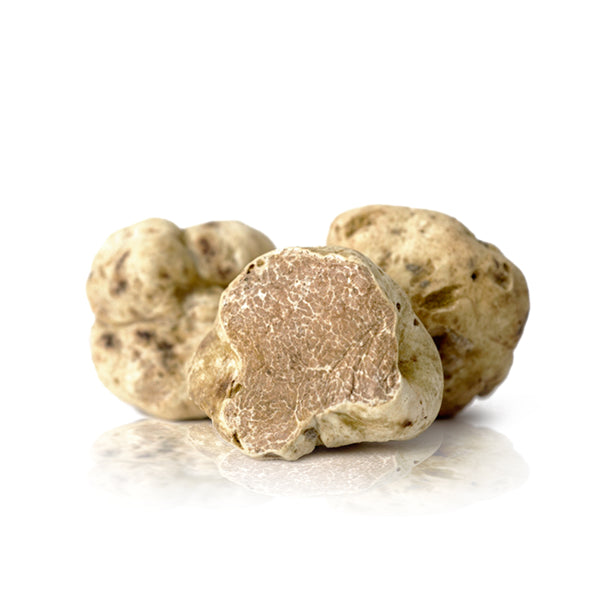 Tartufo bianco - NonSoloCastagne